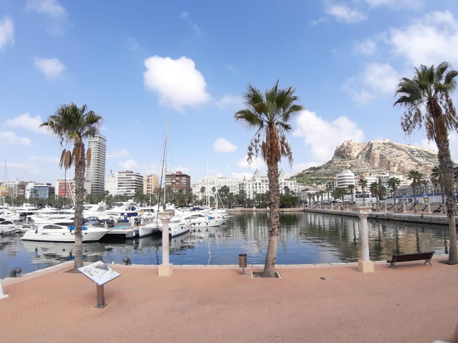 Apartamento Grande-Centro Barrio Playa Alicante Exterior photo
